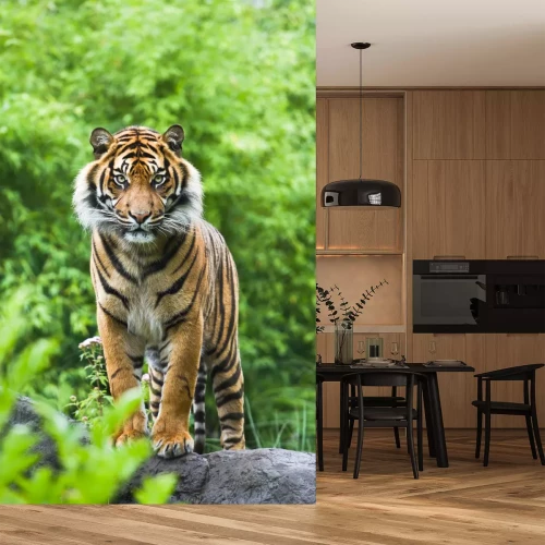 Fotobehang Bengaalse tijger op groene achtergrond