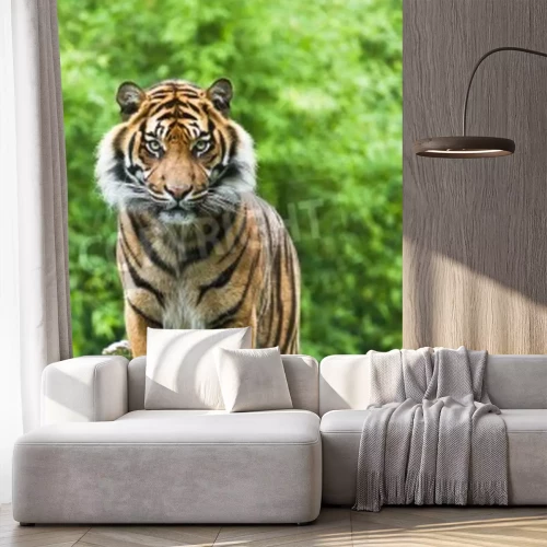 Fotobehang Bengaalse tijger op groene achtergrond