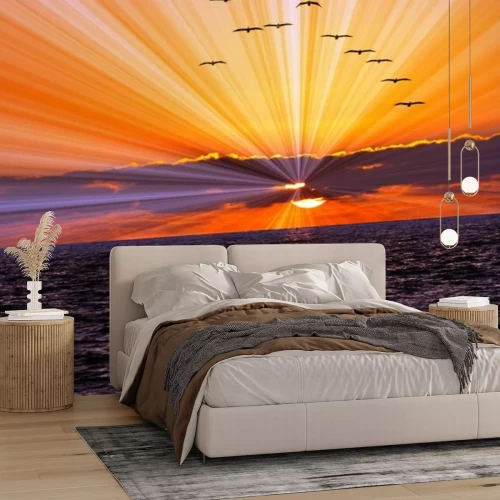 Fotobehang Vogels tegen de achtergrond van de ondergaande zon boven de oceaan