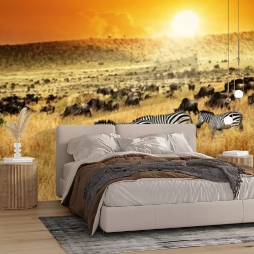 Fotobehang Zonsondergang in Afrika en zebra's