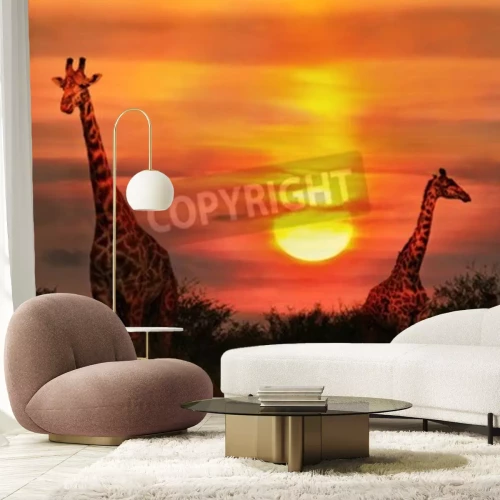 Fotobehang Giraffen en zonsondergang