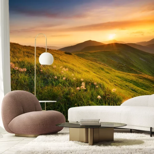 Fotobehang Zonsondergang boven een open plek met paardenbloemen