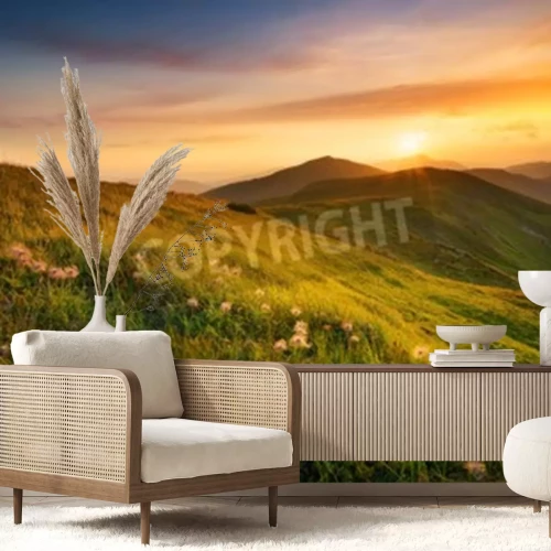 Fotobehang Zonsondergang boven een open plek met paardenbloemen