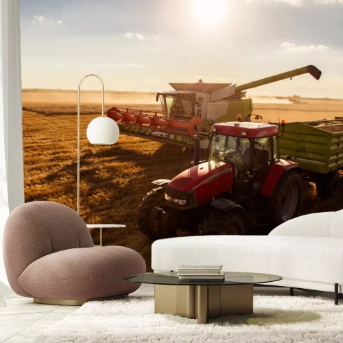 Fotobehang Het oogsten van de tarwe