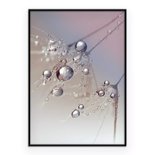 Poster Mooie dauw druppels op een paardebloem zaad macro. Mooie blauwe achtergrond. Grote gouden dauw druppels op een parachute paardenbloem. Zachte dromerige tender image artistieke vorm.