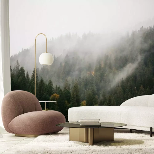 Fotobehang Mist over de boshellingen