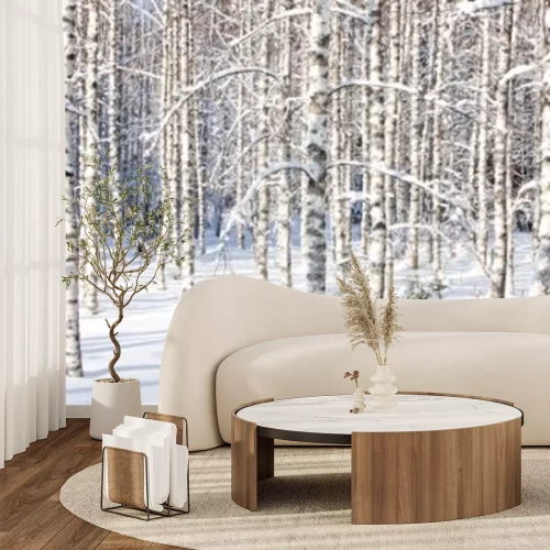 Fotobehang Berkenbos in de winter