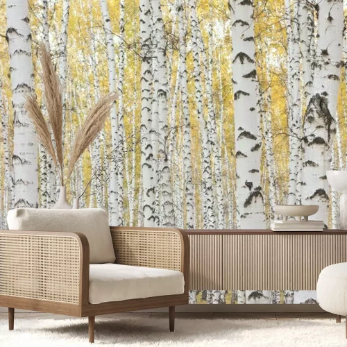 Fotobehang Herfst berkenbos