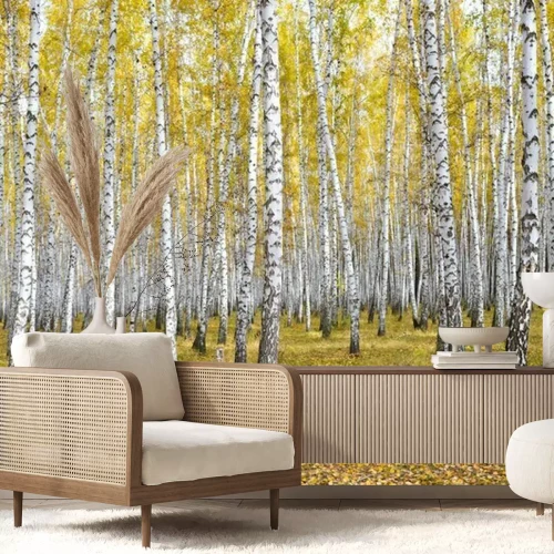 Fotobehang Berken in de herfst