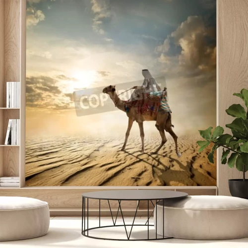 Fotobehang Bedoeïenen kameel en de woestijn
