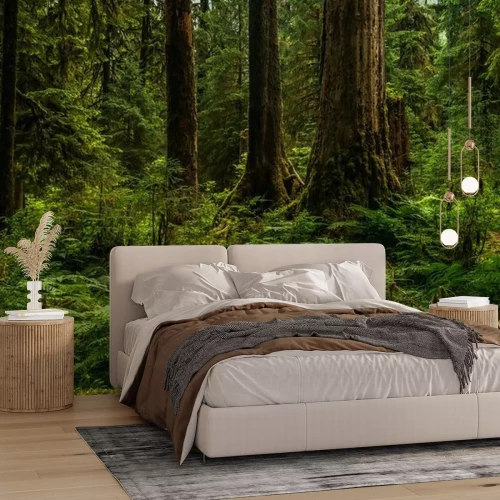 Fotobehang Hoh Regenwoud