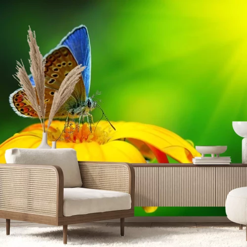 Sticker Blauwe vlinder