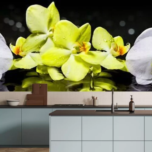 Fotobehang Witte en gele orchideeën op een zwarte achtergrond