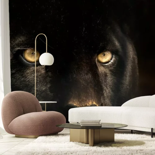 Fotobehang Dier met gele ogen