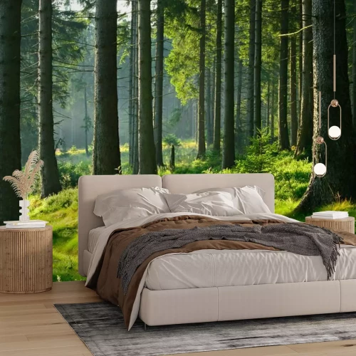 Fotobehang Groen kreupelhout en boomstammen