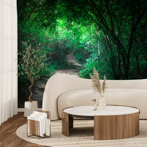 Fotobehang Donkergroen oerwoud