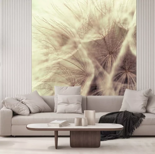 Fotobehang Macrofotografie van paardenbloemzaden