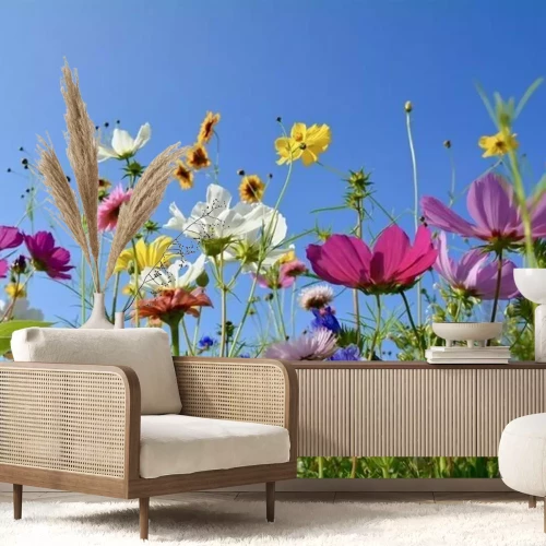 Fotobehang Weide met kleurrijke bloemen