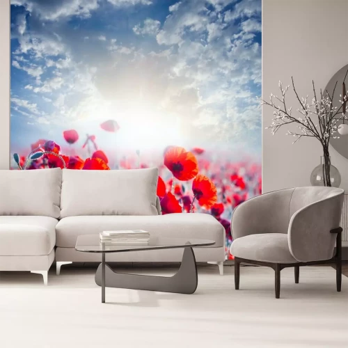 Sticker Veldbloemen tegen een achtergrond van zonneschijn