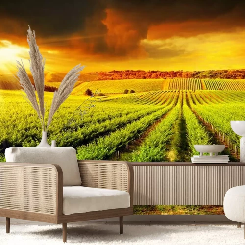 Fotobehang Wijngaard in de zonnestralen die door de wolken breken