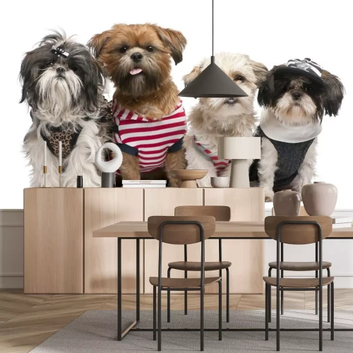 Sticker Shih Tzu's verkleed