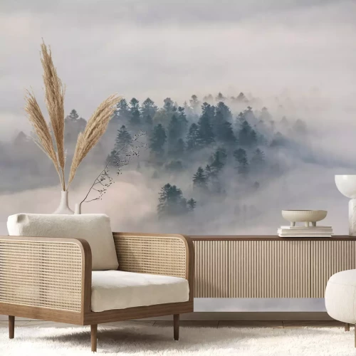 Fotobehang Mist en bomen in de Pieniny Bergen