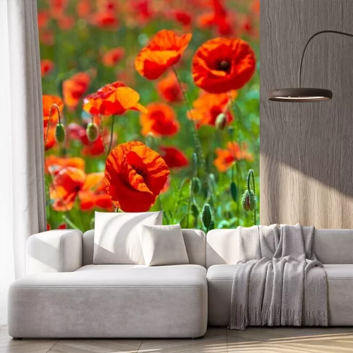 Fotobehang De natuur en een klaprozenveld