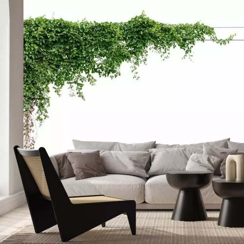 Fotobehang Klimop op de muur