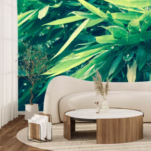 Fotobehang Groene bamboebladeren