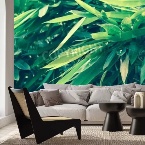 Fotobehang Groene bamboebladeren