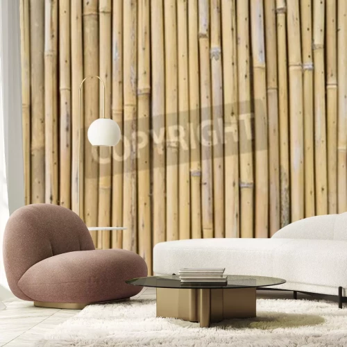 Fotobehang Gedroogde bamboe