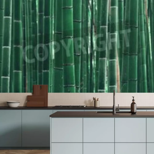 Fotobehang Groene bamboescheuten