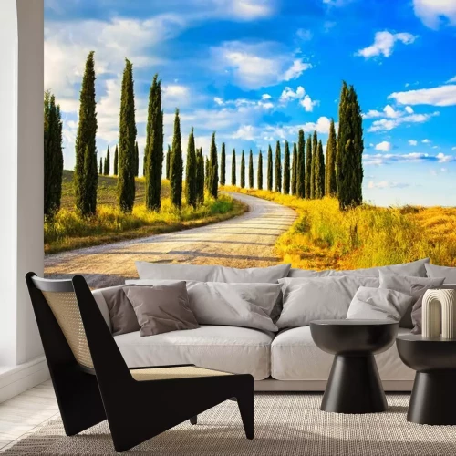 Fotobehang Kerstbomen langs een Toscaanse weg