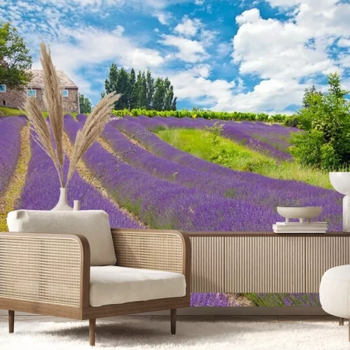 Fotobehang Idyllisch motief met lavendel