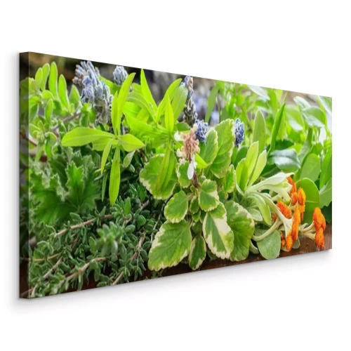 Canvas Verschillende kruiden op een houten achtergrond