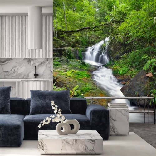 Fotobehang Jungle tropen en natuur