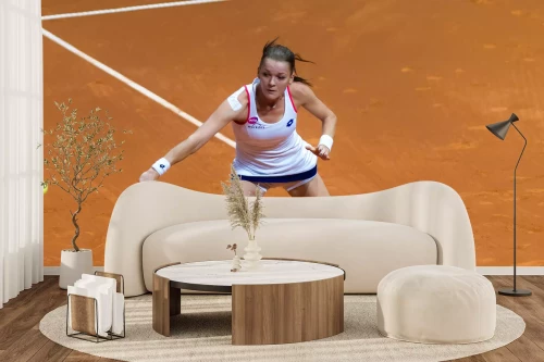 Visualisatie van het product