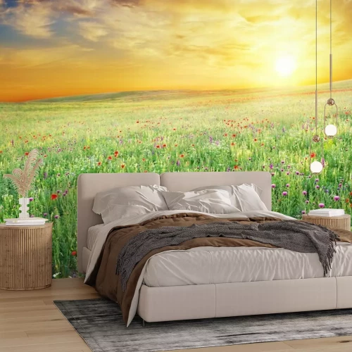 Fotobehang Lenteweide