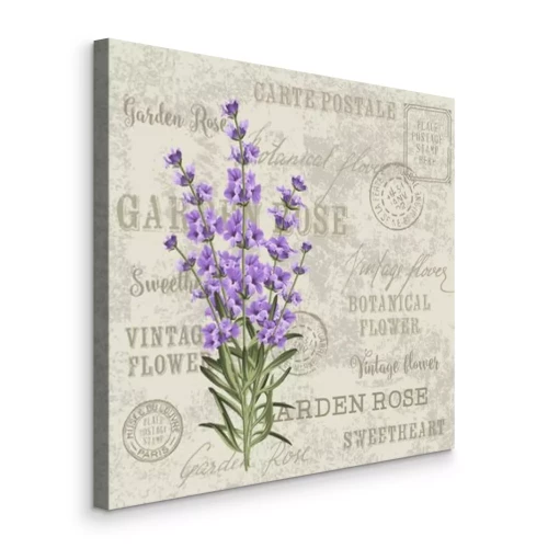 Canvas Lavendel op de achtergrond van het briefpapier