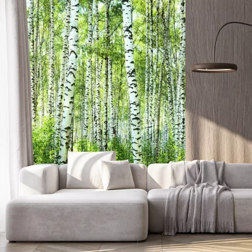 Fotobehang Zomer in een zonnig berkenbos