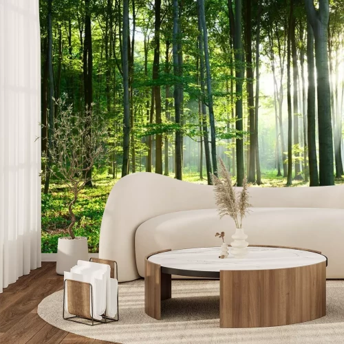 Fotobehang Ochtend in het bos