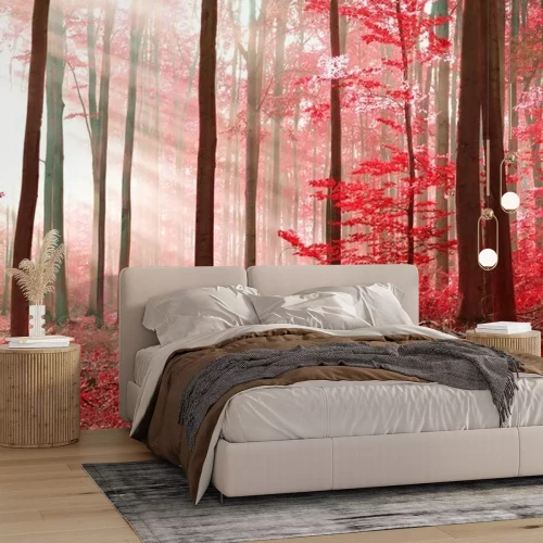 Fotobehang Betoverd bos in rood