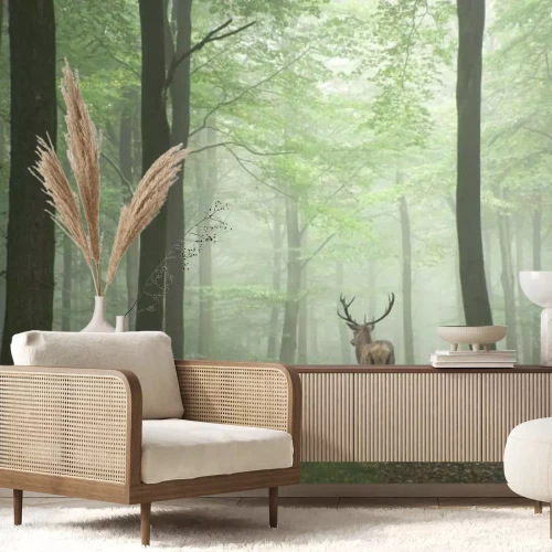 Fotobehang Een hert dat door een mistig bos loopt