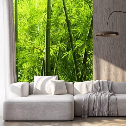Fotobehang Bos met bamboe