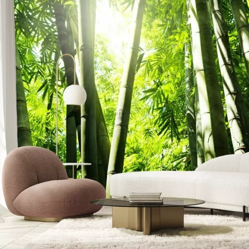 Fotobehang Bamboebos in de zon