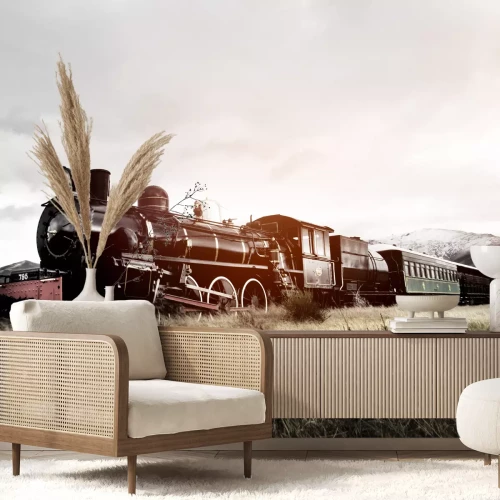 Fotobehang Trein locomotief in een berglandschap