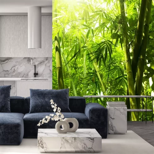 Fotobehang Zonnig bamboebos