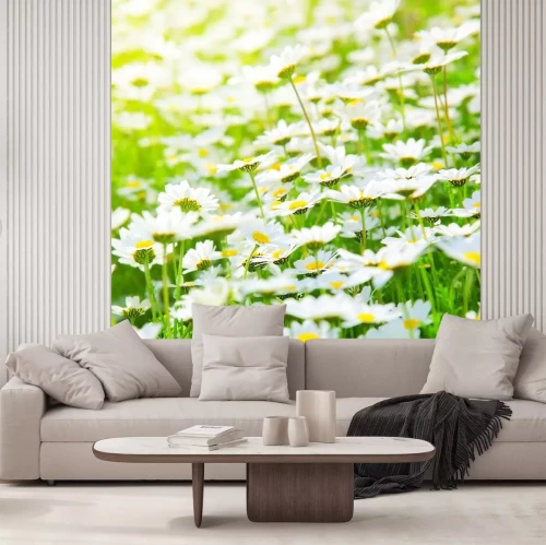 Sticker Daisy veldbloemen op gras