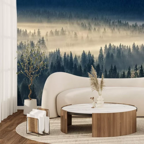 Fotobehang Zonsopgang boven een naaldbos in de mist