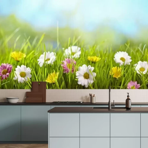 Fotobehang Lentebloem in de weide